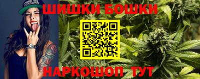 МДПВ Будённовск