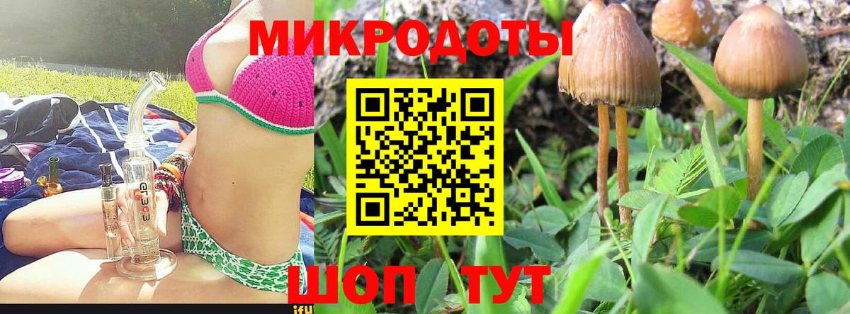 Псилоцибиновые грибы мицелий  Галлюциногенные грибы Cubensis  Вход с VPN  Ростов-на-Дону 